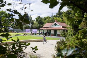 cwmdonkin park 2 sm.jpg